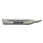 Jaguar JT2 M